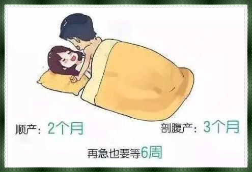 剖腹产33天同房会排卵吗