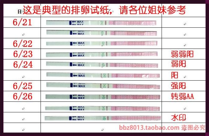 测卵泡试纸怎么用：深入解析与实用指南