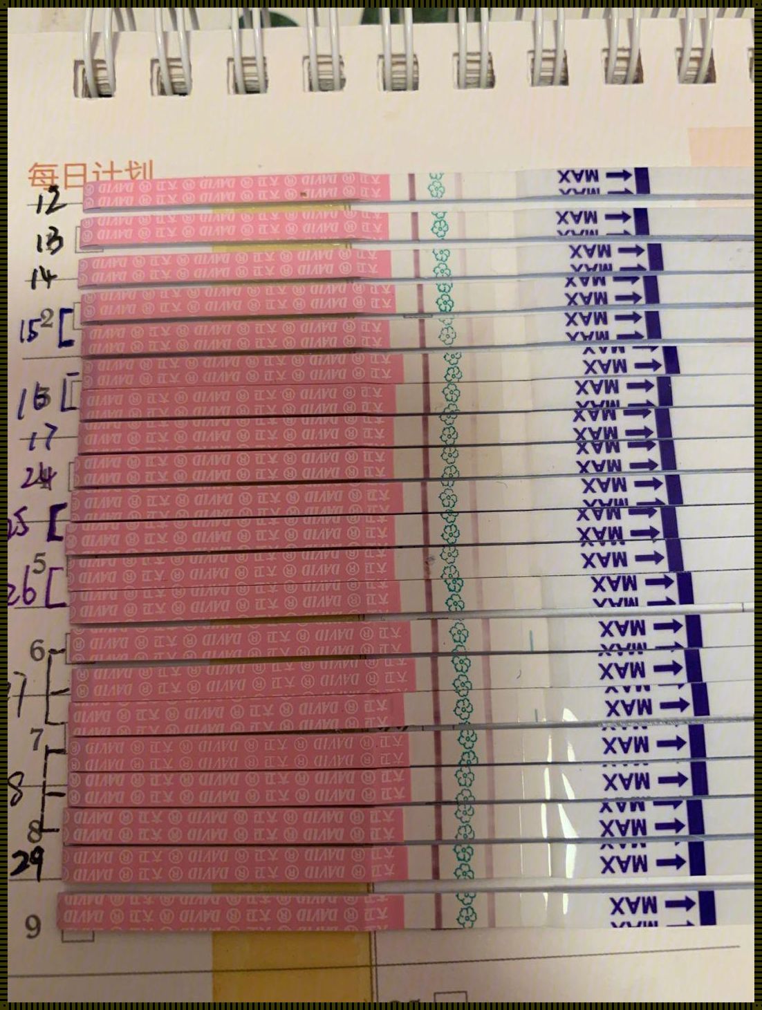 天天测排卵都是阴性怎么回事