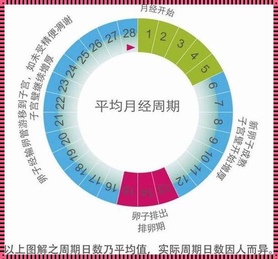 月经周期短：原因、影响与应对策略