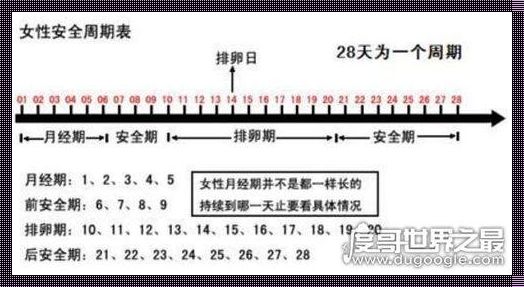 9月20号来月经排卵期是几号