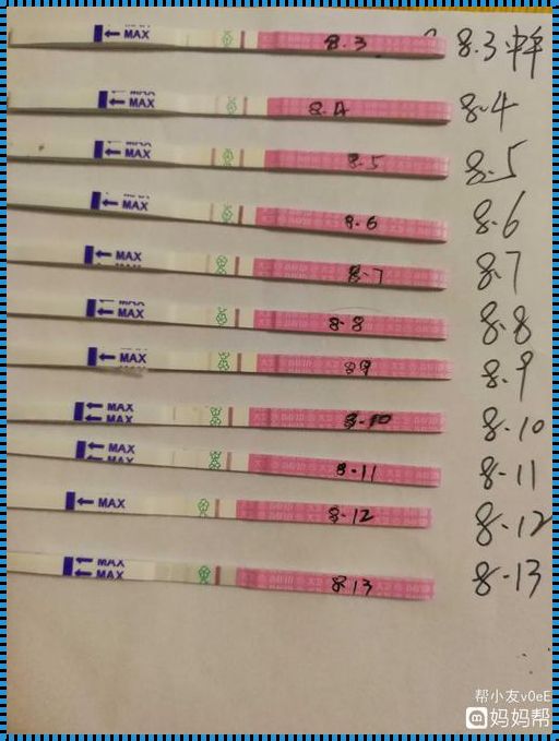 排卵试纸11天弱阳怀孕图：探寻生命可能的起点