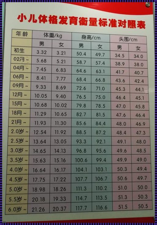 婴儿6个月发育标准：成长的里程碑