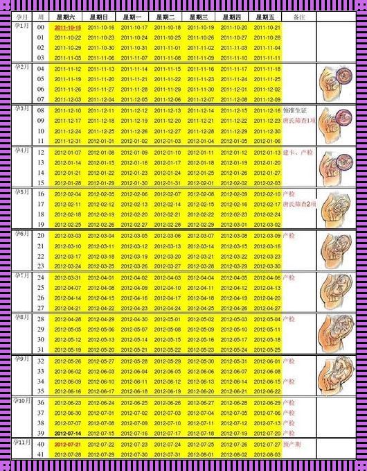 生闺女一定是排卵前几率大吗？揭秘性别决定的科学原理