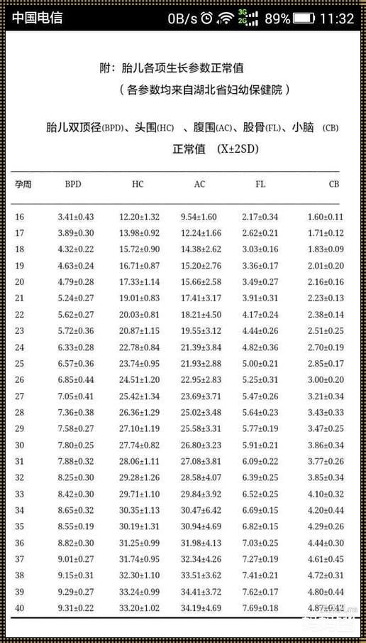 22周胎儿各项指标数据：生命成长的奇妙旅程