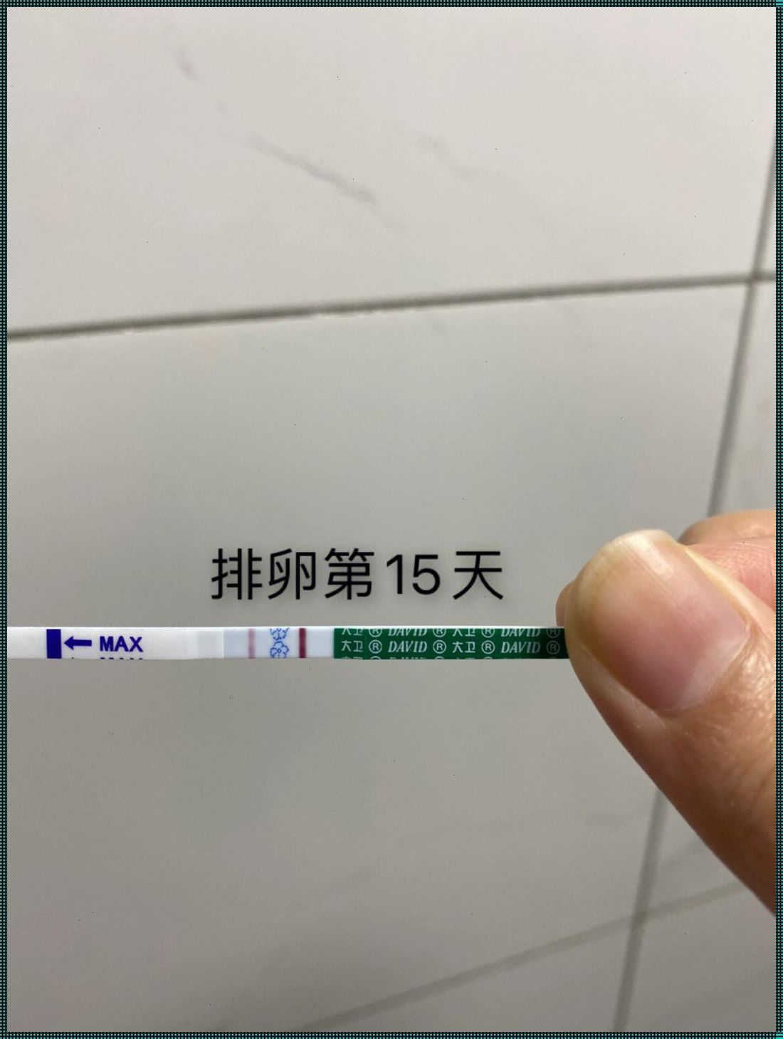 排卵期同房后几天能测出怀孕：揭秘