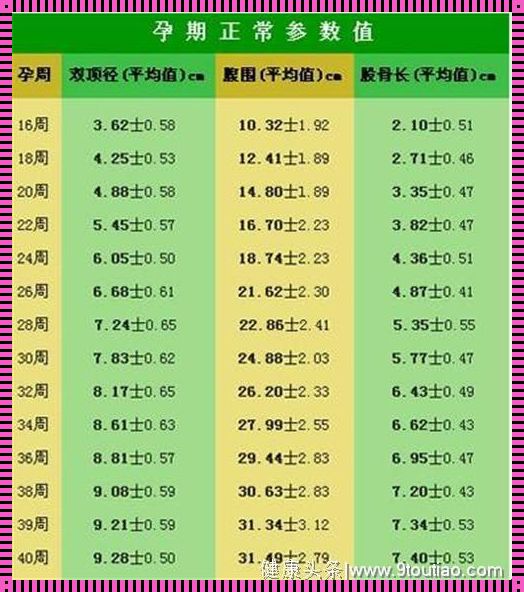 31周股骨长60mm腿长吗：长度与成长的故事