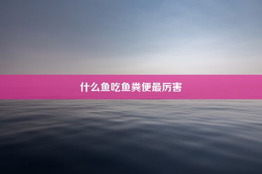 什么鱼吃鱼粪便最厉害