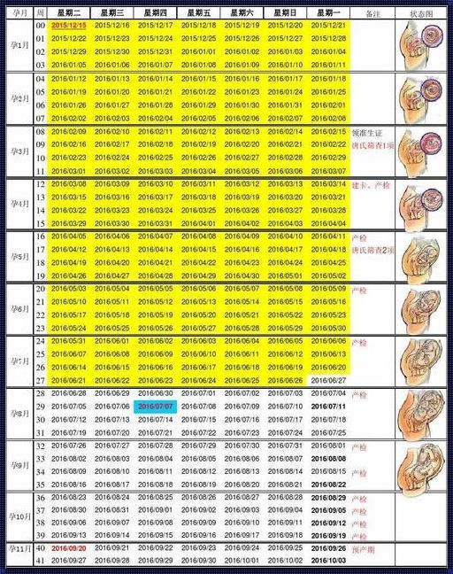 怀孕一月到十月全图：神秘面纱揭秘
