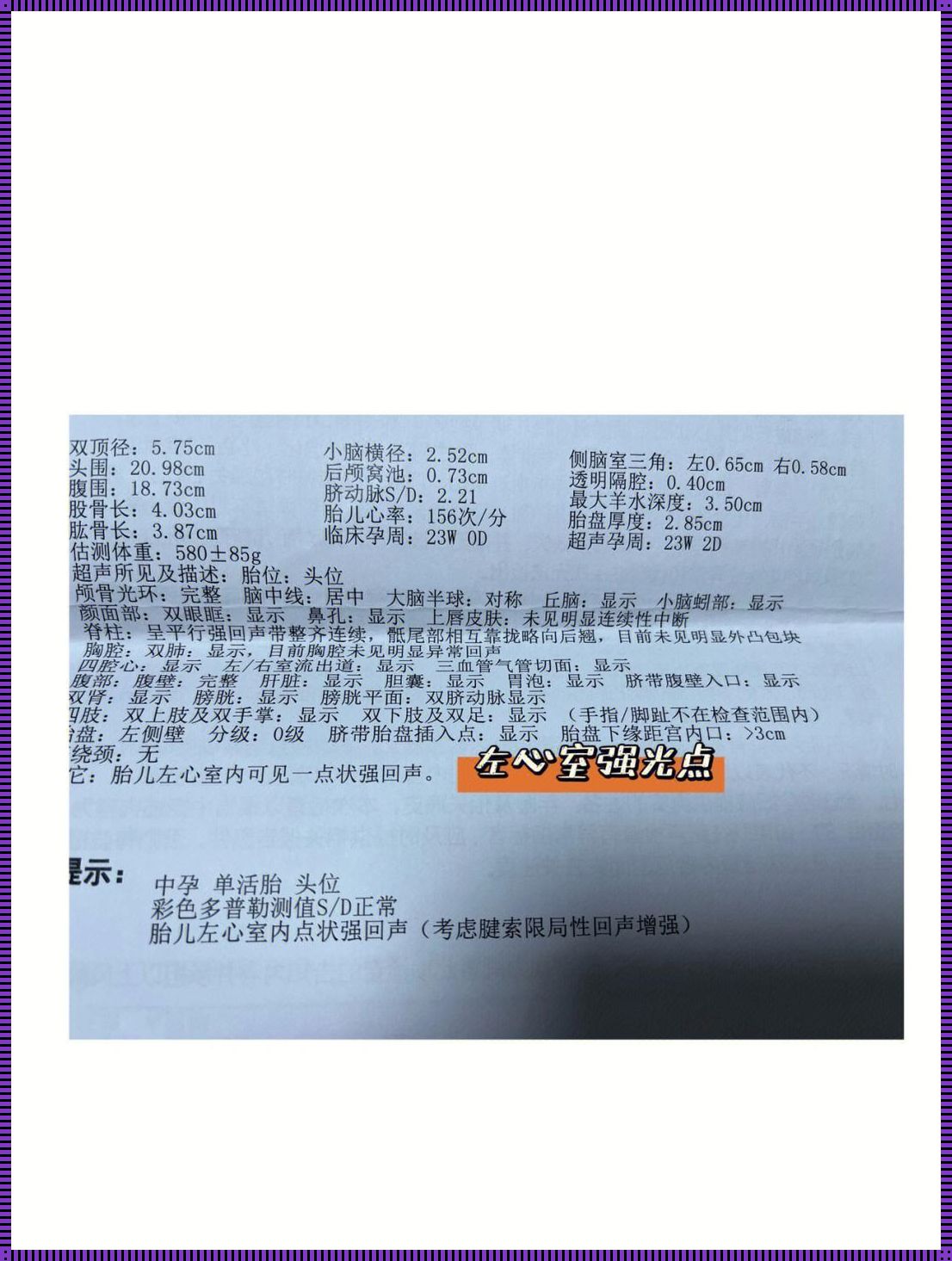 四维胎儿左心室有强光点严重吗：照亮心灵的忧虑