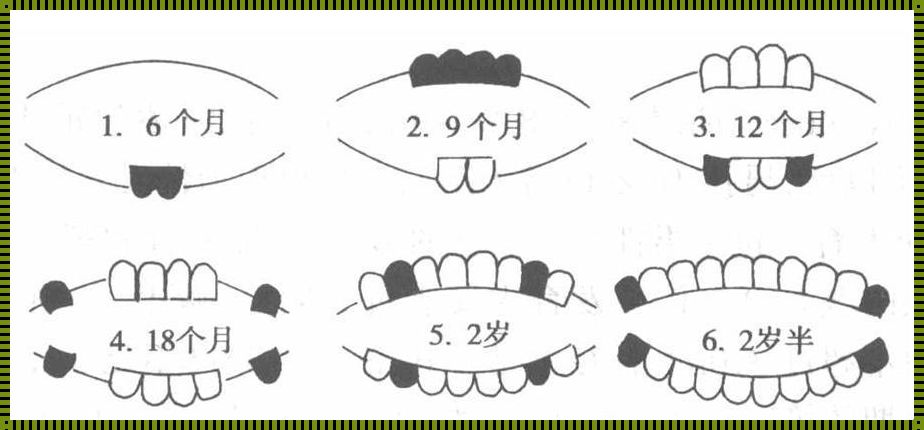 婴儿涨牙的顺序：成长的烦恼与父母的爱