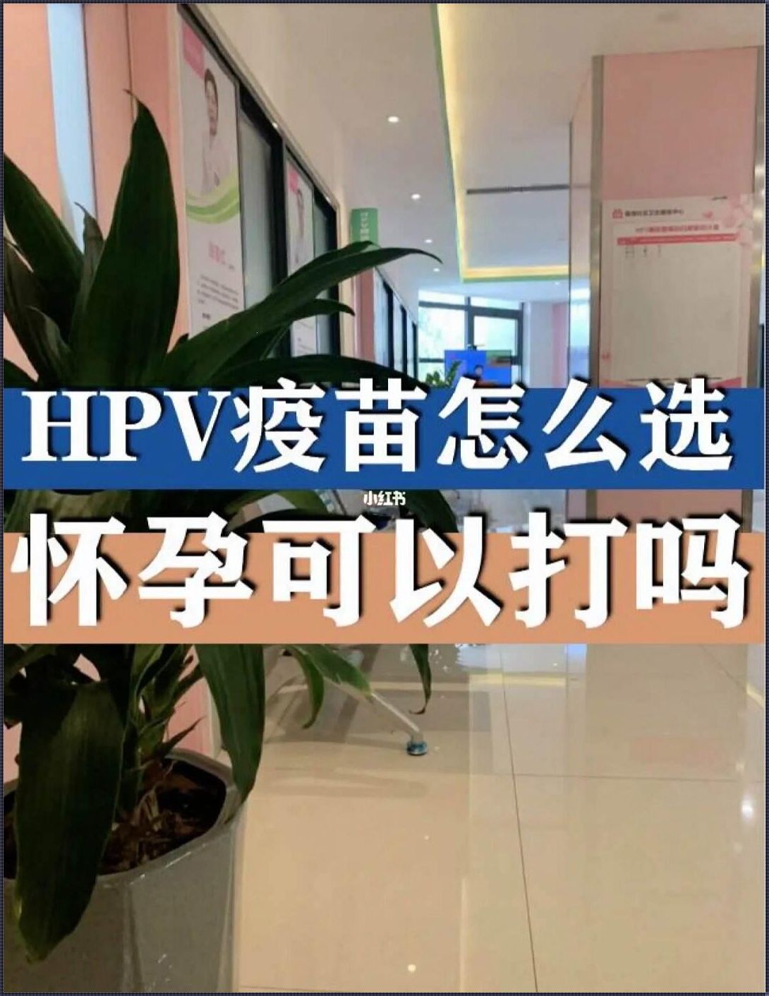 HPV注射后多久可以怀孕：揭开神秘面纱