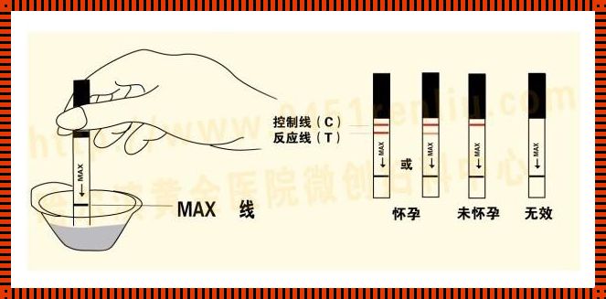 怀孕5个月试纸怎么阴性：深入了解与探究