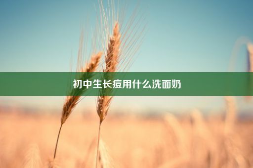 初中生长痘用什么洗面奶