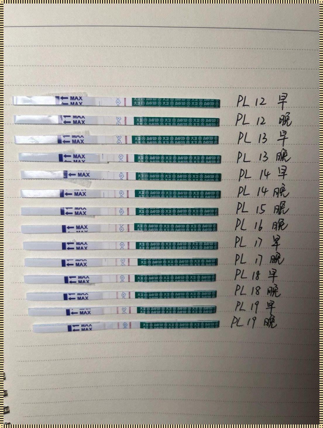 探讨hcg18与怀孕之间的关联