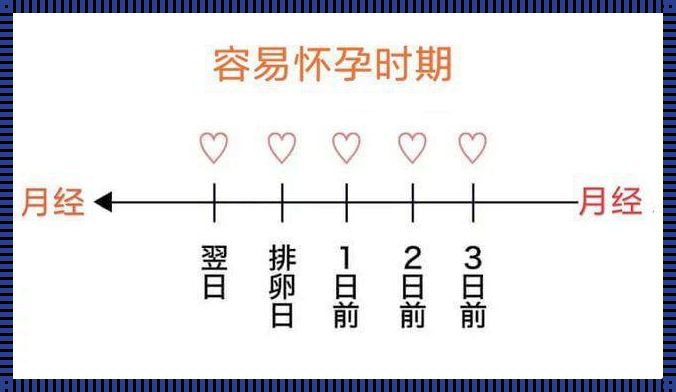 月经走后5天怀孕几率：探讨生育的奥秘