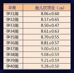 30周小脑横径孕周对照表：关注宝宝成长的关键时刻