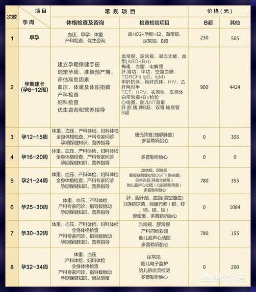 怀孕产检费用大约需要多少：一次全方位的揭秘