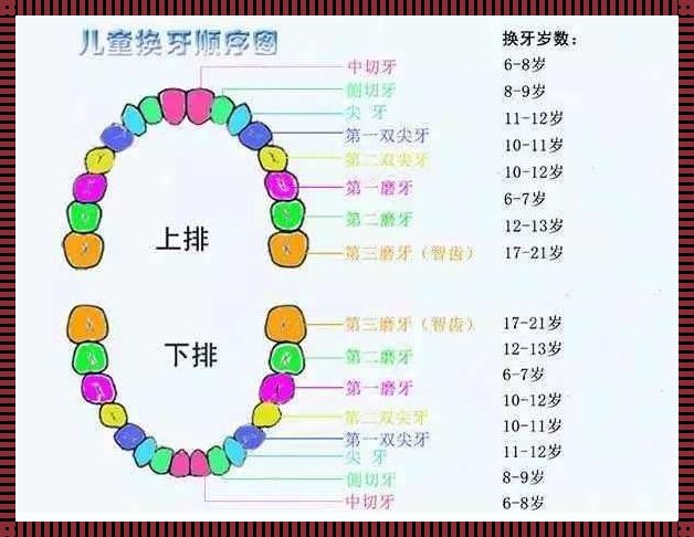 儿童那颗牙齿不换：揭秘成长中的自然更替