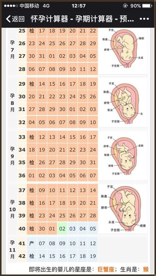 孕周对应的宫底位置：揭开神秘面纱