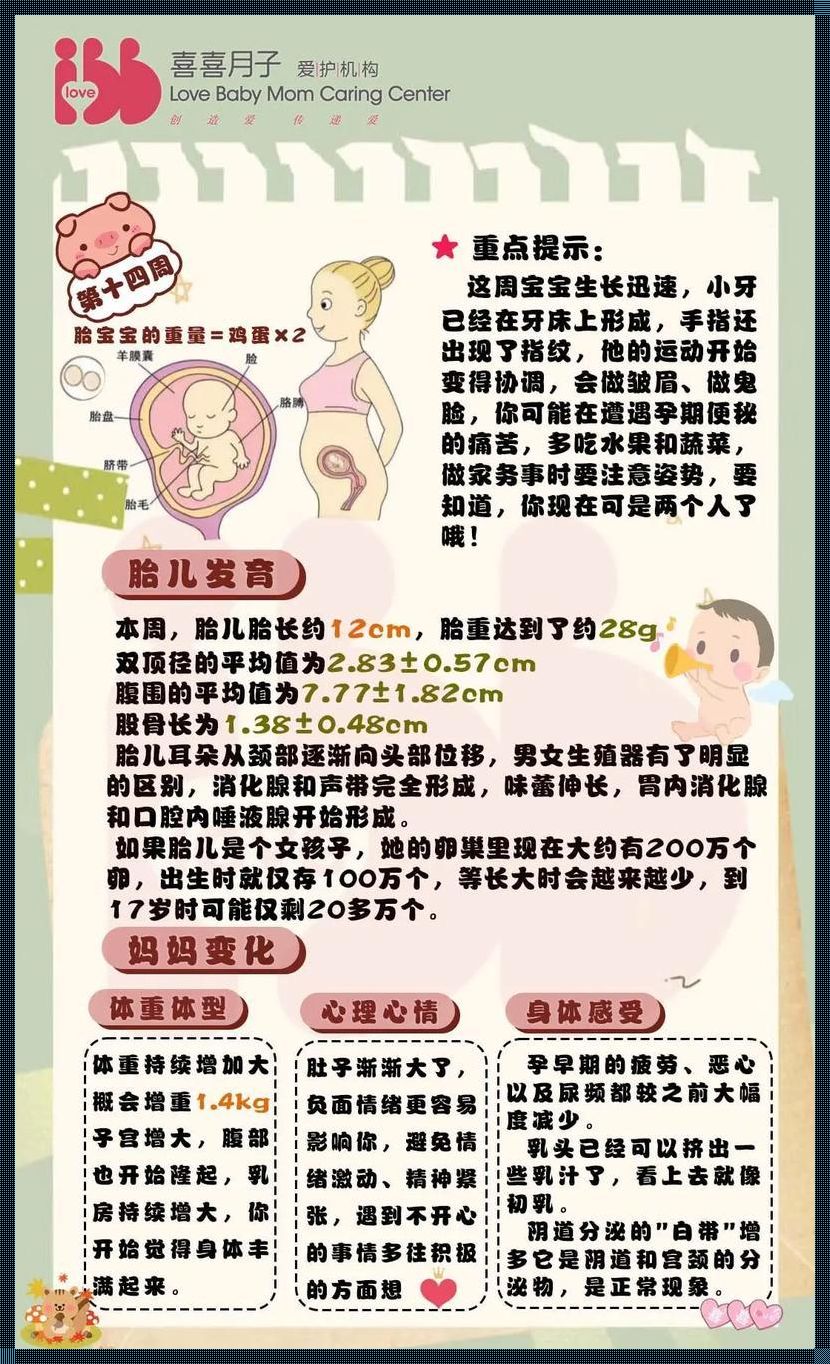 孕14周羊水深度28mm正常吗？