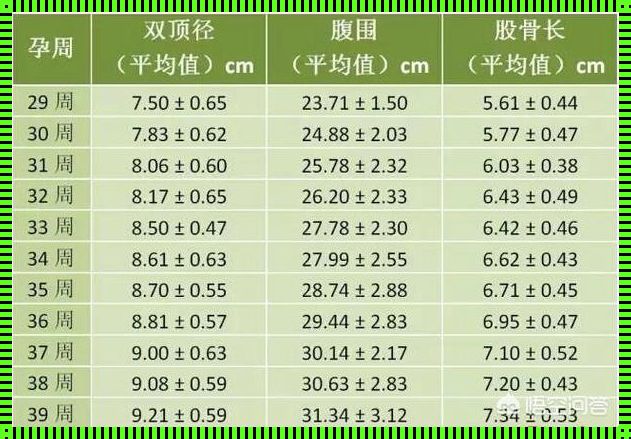胎儿腹围395mm会不会有问题：揭秘