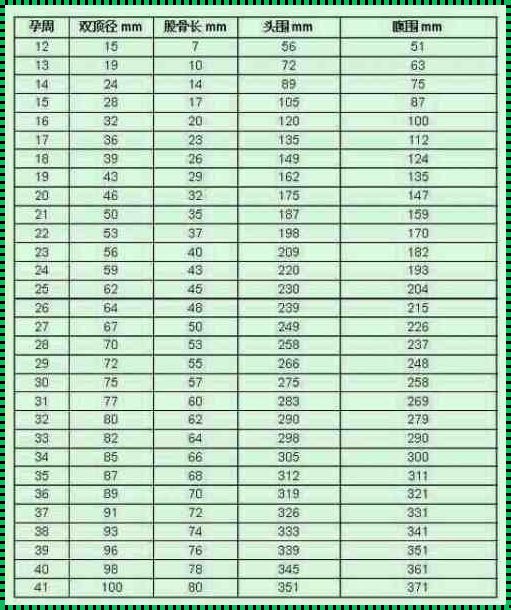 彩超怎么预估胎儿体重：一项细致的科学探索