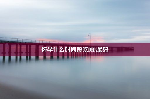 怀孕什么时间段吃DHA最好