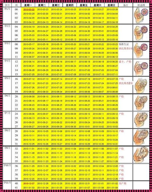 孕妇预产期多少周：深入了解孕期与分娩