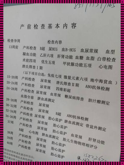 第一次产检几周去合适：确保母婴健康的首要步骤