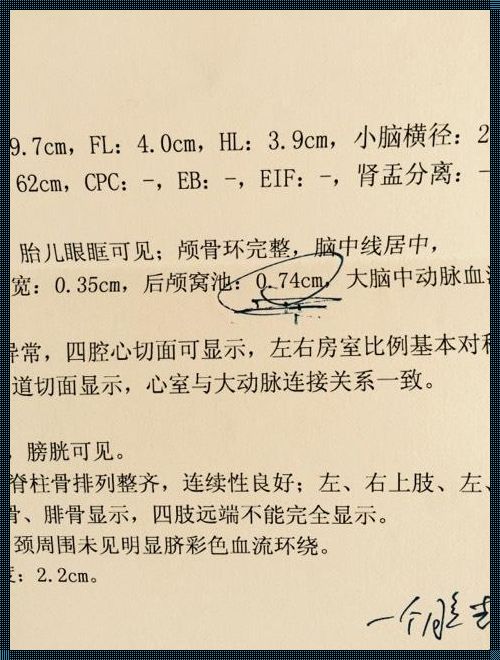 孕35周后颅窝池正常值：呵护宝宝脑部发育的关键