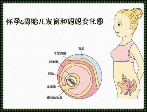 怀孕多久胎儿算是坐稳了：一个深入探讨