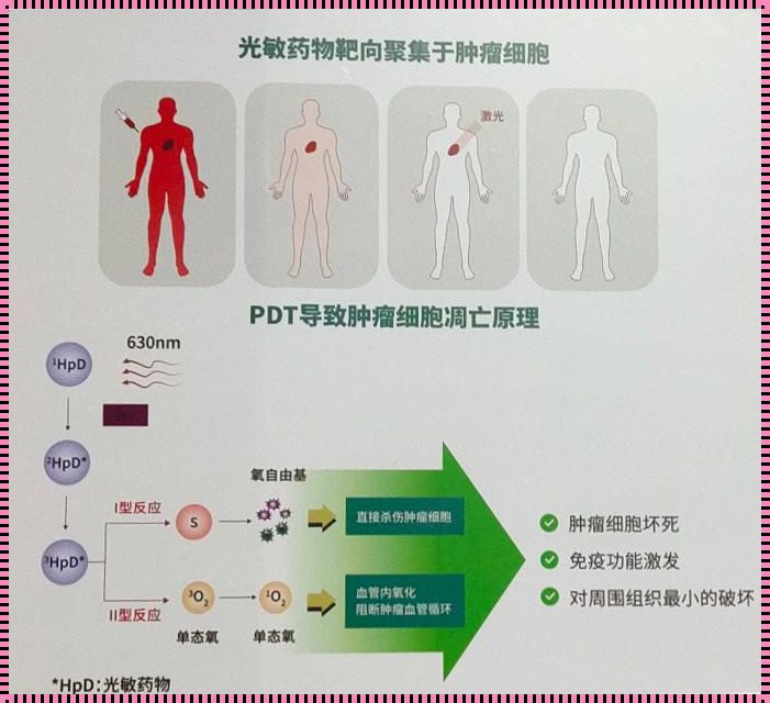 光动力治疗：能否两次击退病毒