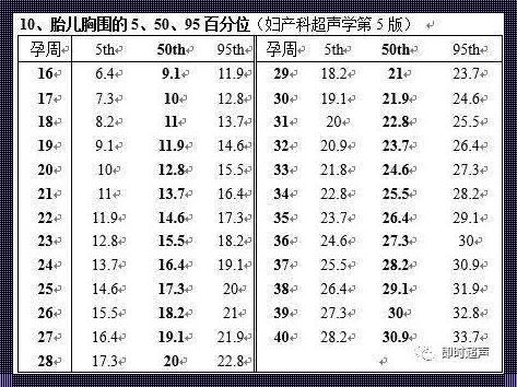 胎儿腹围265mm符合多少周：揭秘