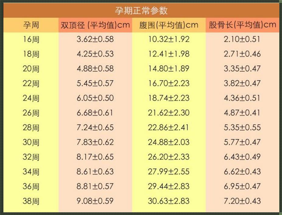 怎么算胎儿的体重：深入了解与实用指南