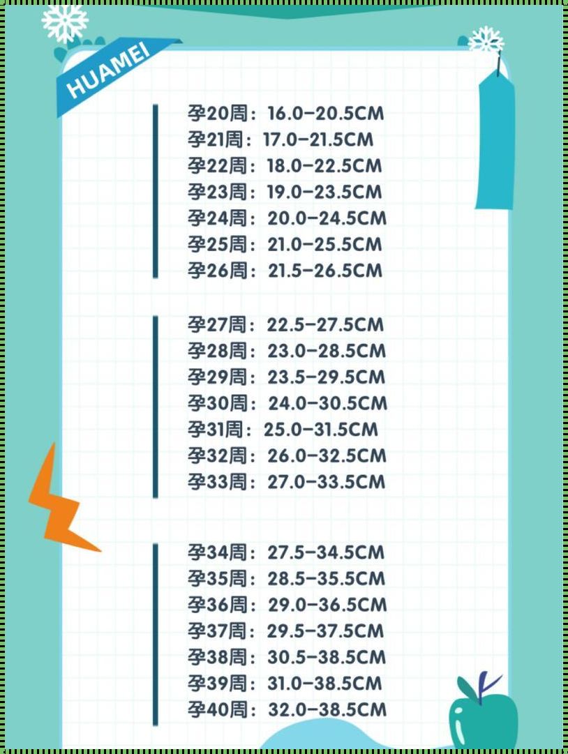 宫高28腹围94宝宝多重：揭秘孕期宫高腹围与胎儿重量的关系