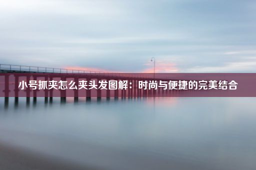 小号抓夹怎么夹头发图解：时尚与便捷的完美结合