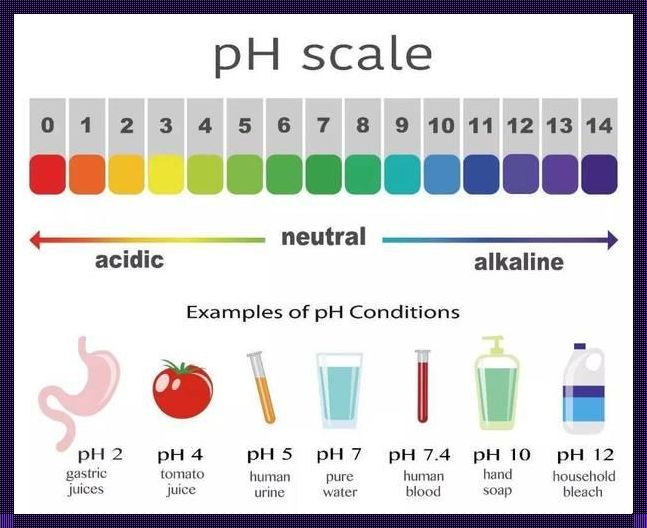 怀孕酸碱度7是男孩女孩：探讨性别与酸碱度的关联