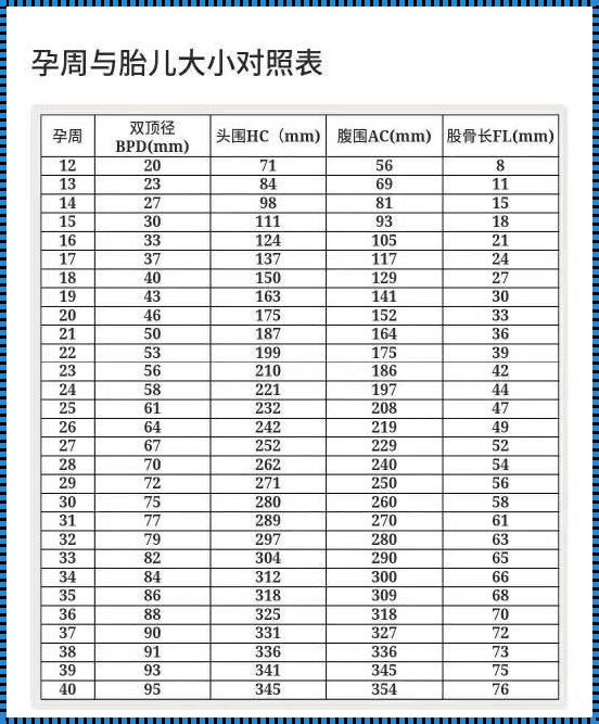 双顶径是指胎儿什么位置