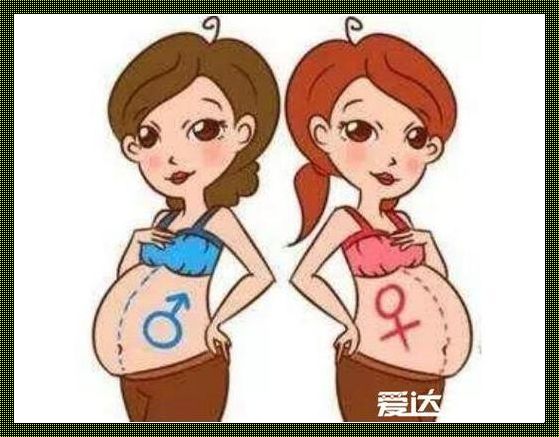 如何怀女儿的概率高