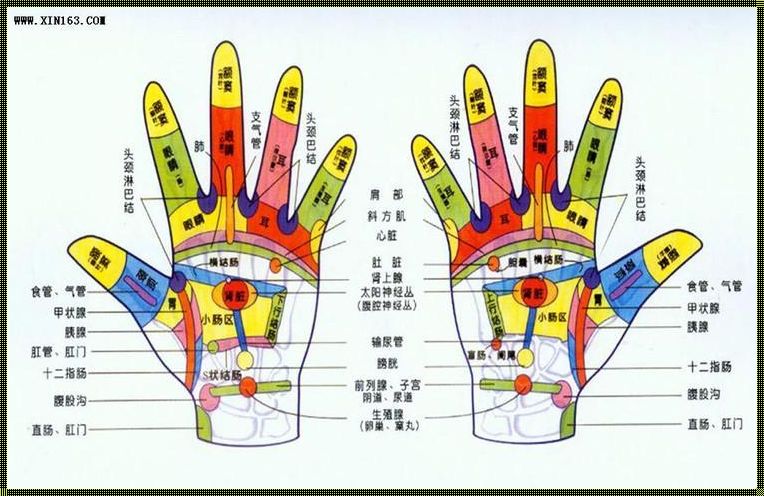 右手的经络图：探寻人体神秘之径