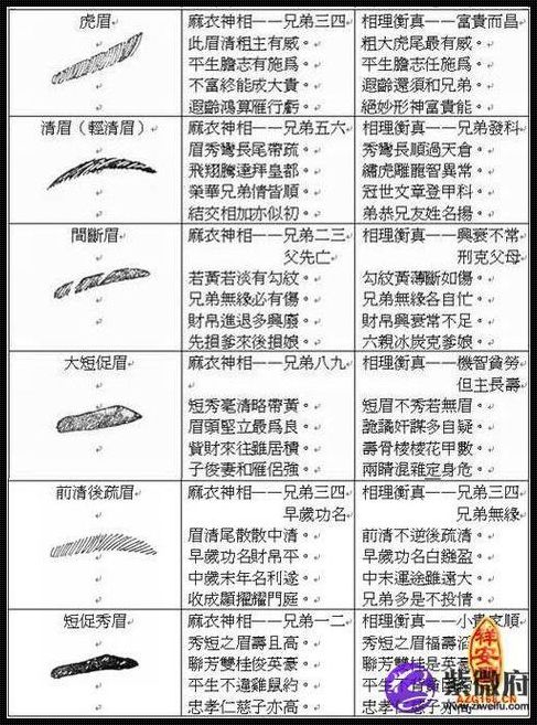 男人21种眉毛看相图解大全：揭示命运与性格的秘迹