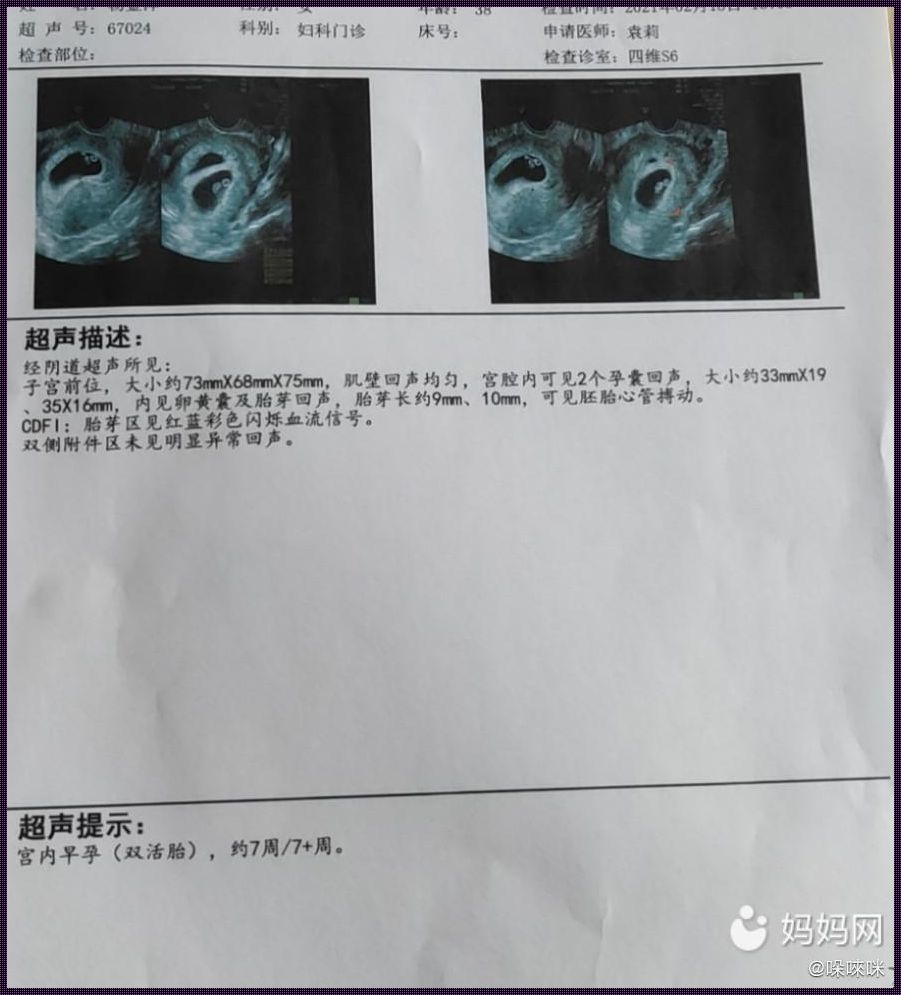 怀孕6周是多少天：一个探索与极限挑战的旅程