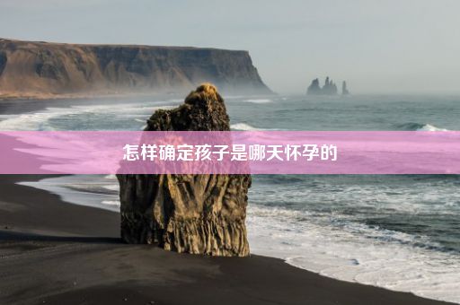 怎样确定孩子是哪天怀孕的