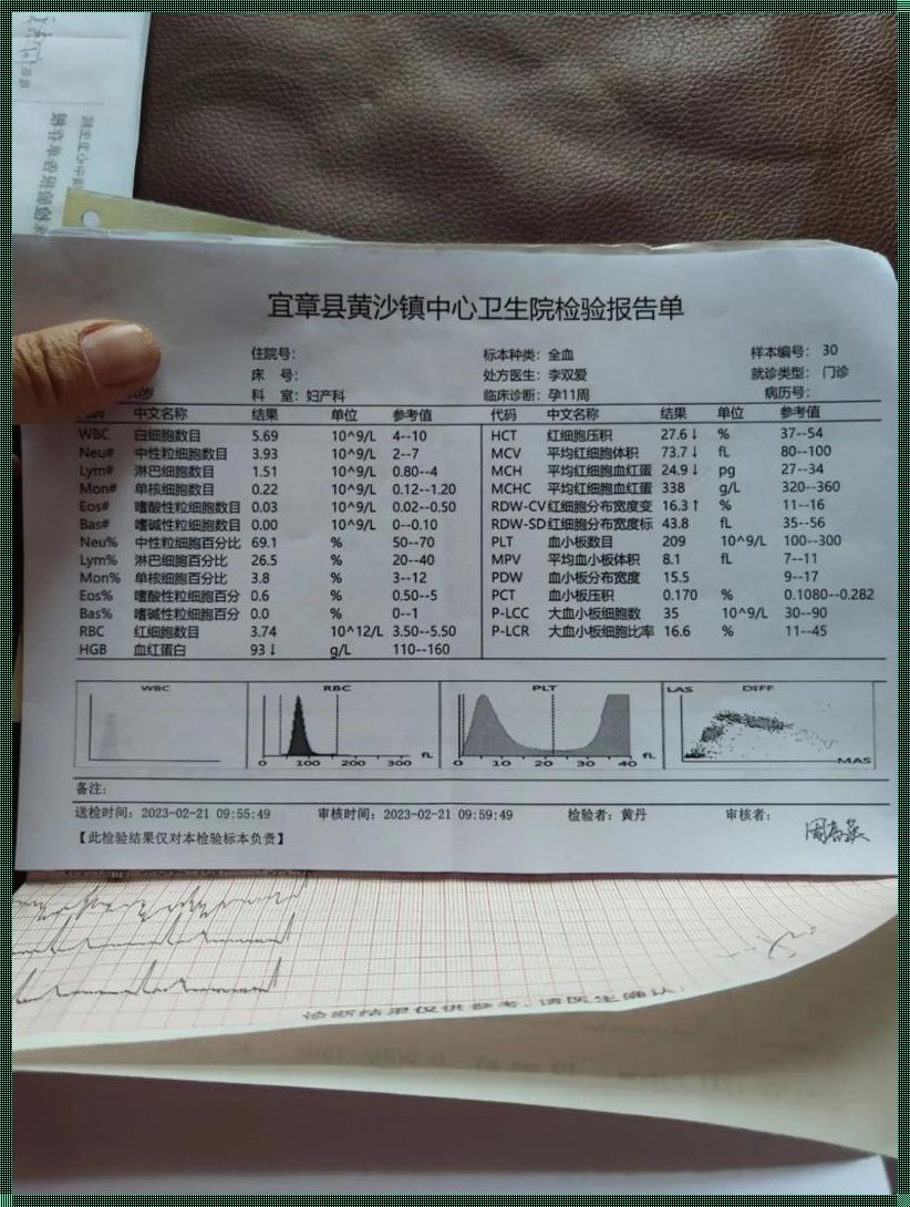 孕妇血红蛋白93对胎儿影响吗？深度解析与情感探讨