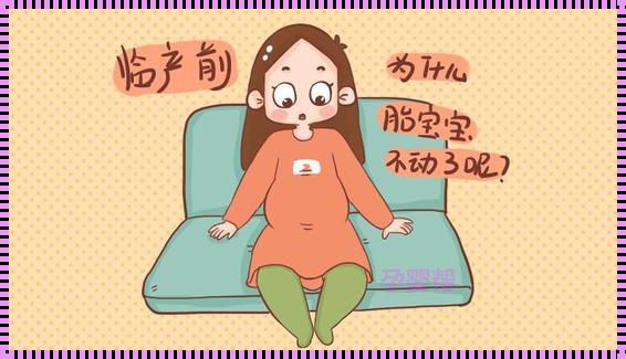 怀孕是10个月还是9个月？揭秘孕期真实时长