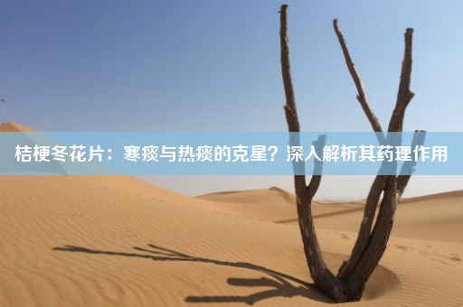 桔梗冬花片：寒痰与热痰的克星？深入解析其药理作用