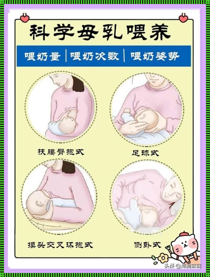 怎么给新生儿喂母乳