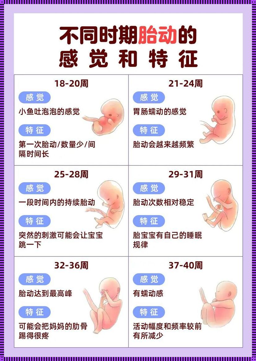 孕12周能感觉到胎动吗？