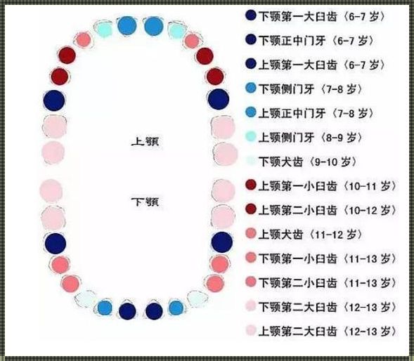 儿童换牙换几颗：成长中的里程碑